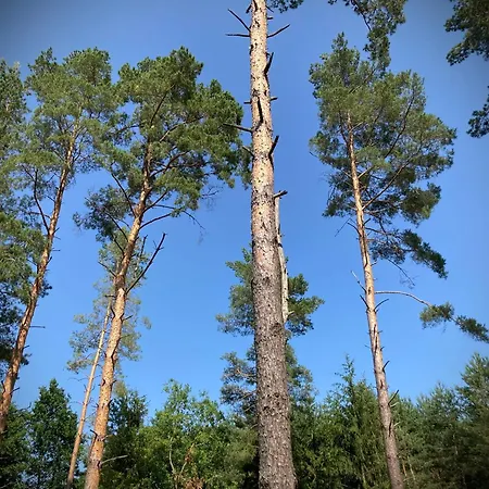 Resort-bon Turystyczny,15m Od Brzegu,widok Na Jezioro,ogrzewanie,wi-fi *